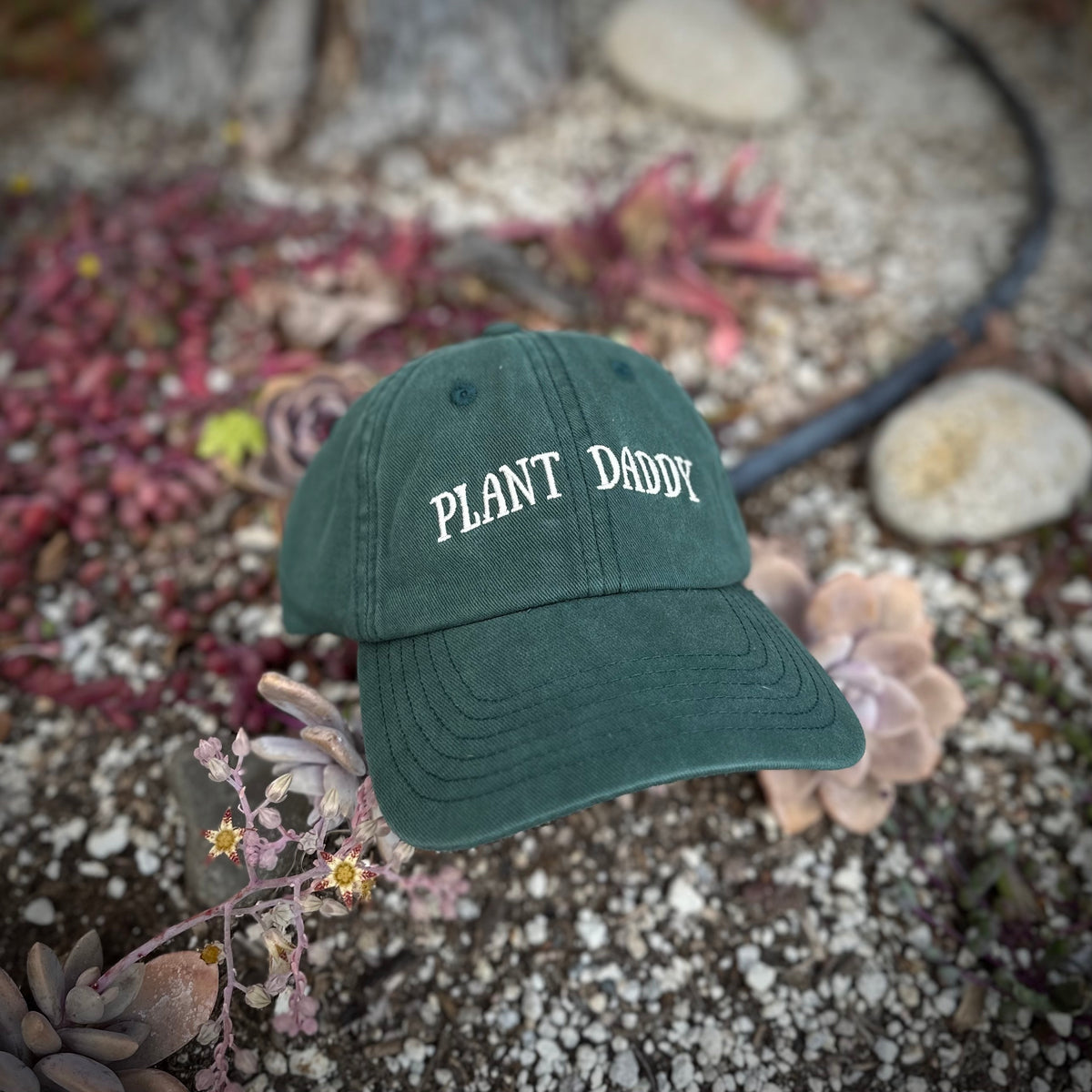"Plant Daddy" Dad Hat - Soft Washed Cotton Cap, Perfect Gift For Plant Lovers, Gardeners & Dads