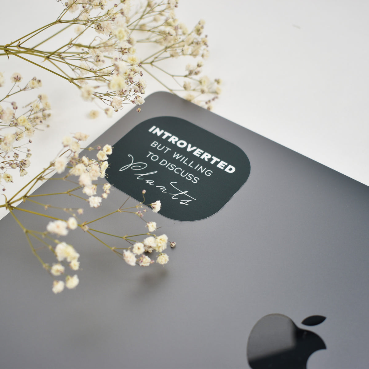 Introverted Plant Talk Sticker
