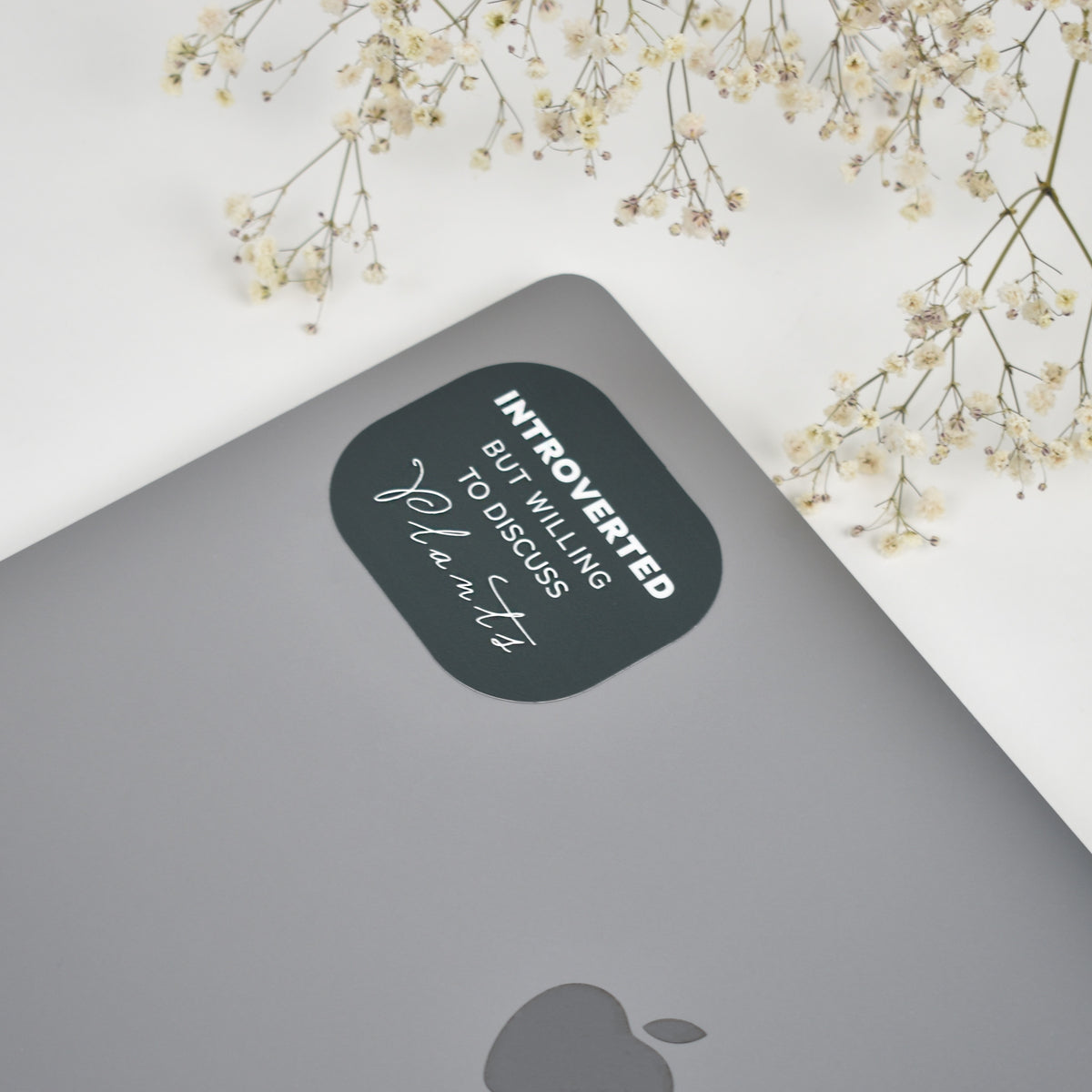 Introverted Plant Talk Sticker