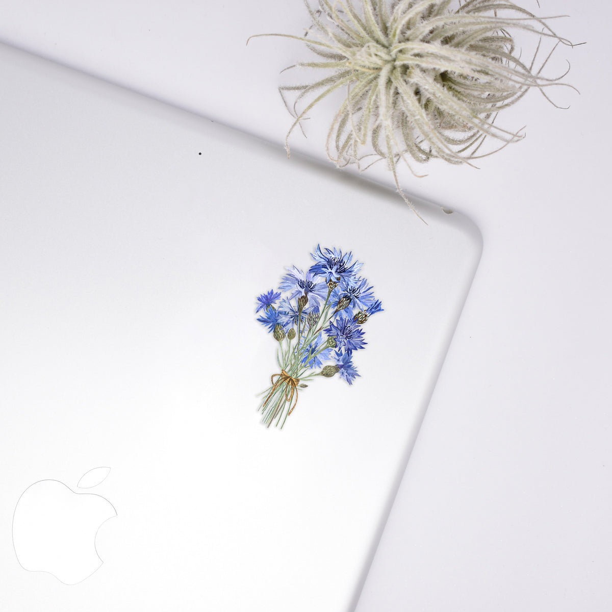 Cornflower Sticker