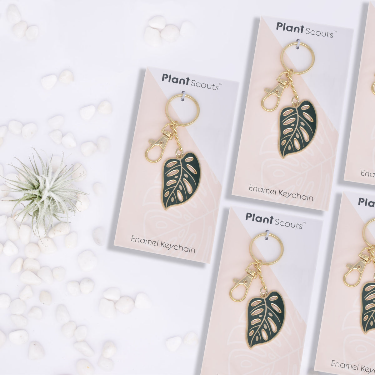 Monstera Adansonii Keychain