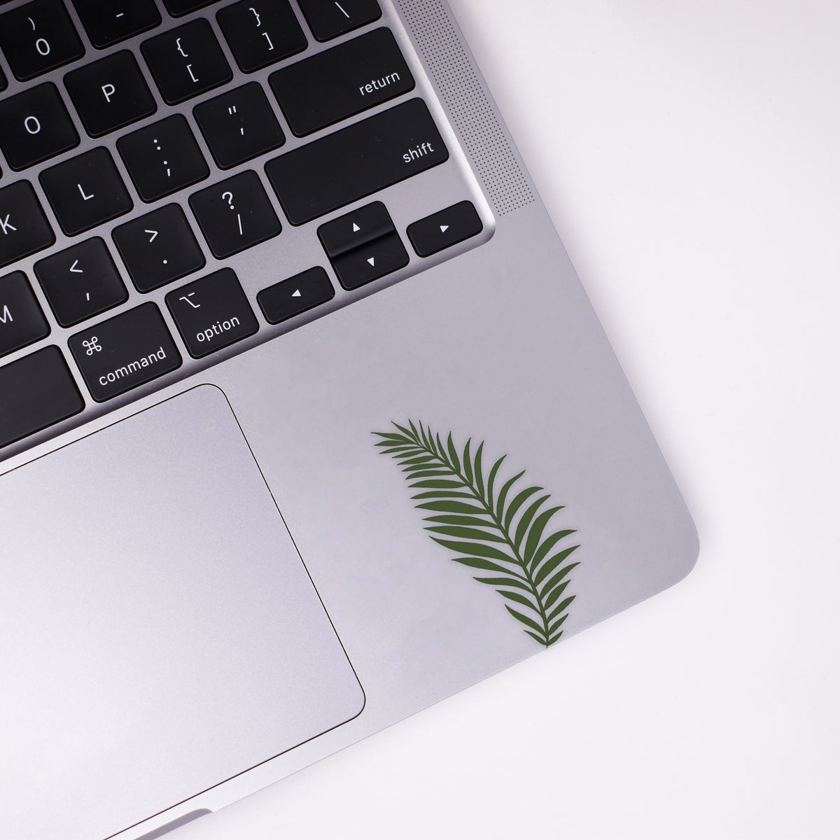 Fern Sticker