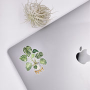 Monstera Sticker