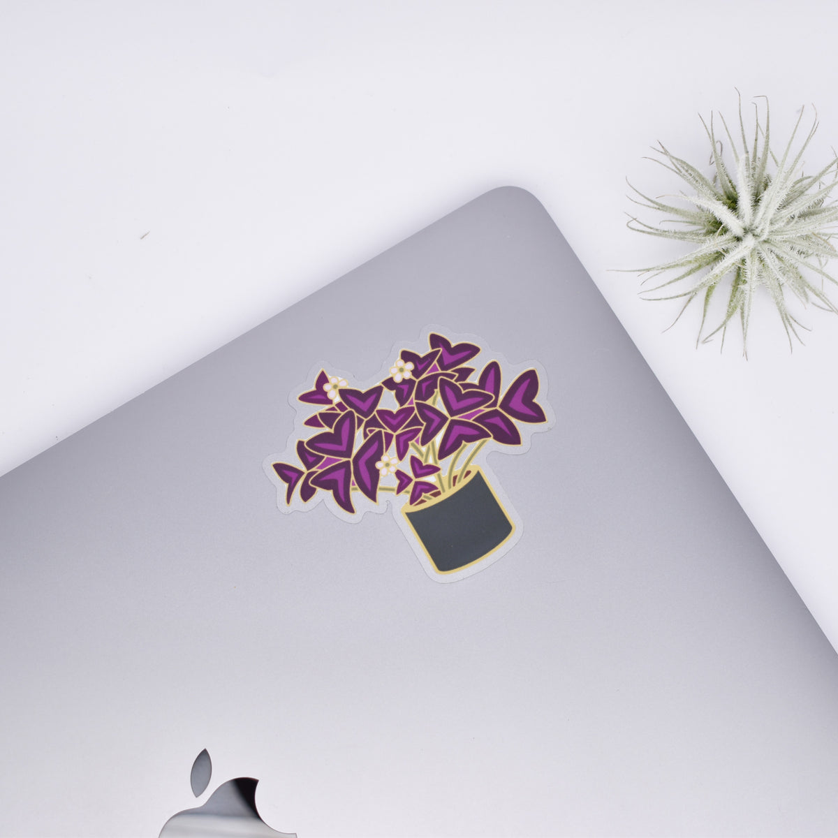 Oxalis Sticker