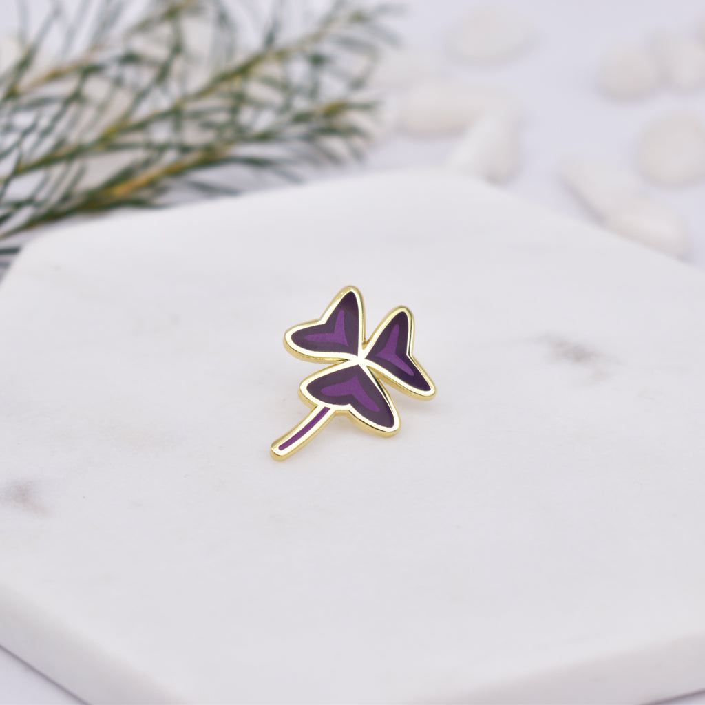 Oxalis