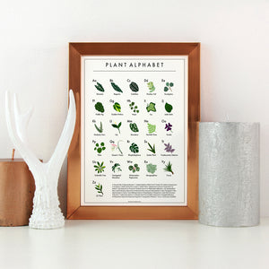 The Plant Alphabet Poster