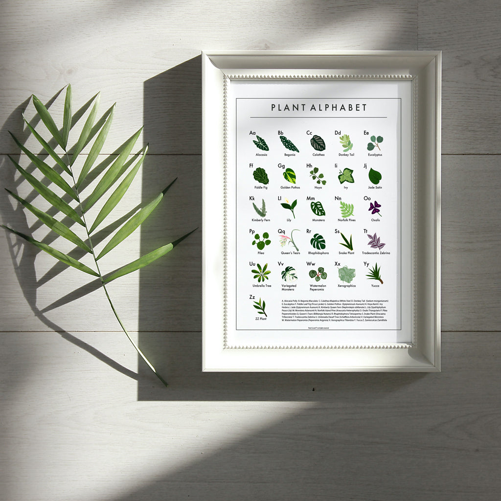 The Plant Alphabet Poster