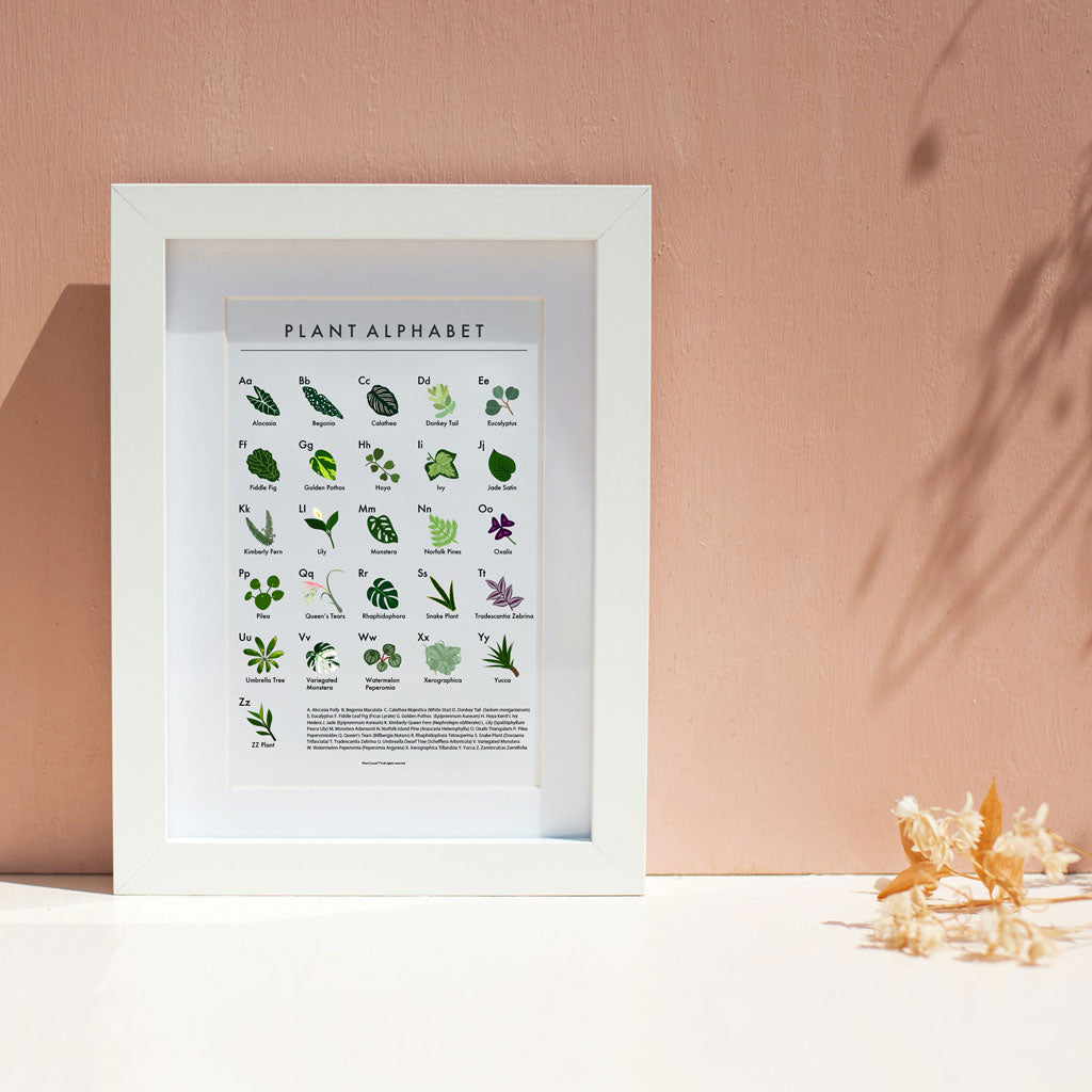 The Plant Alphabet Poster