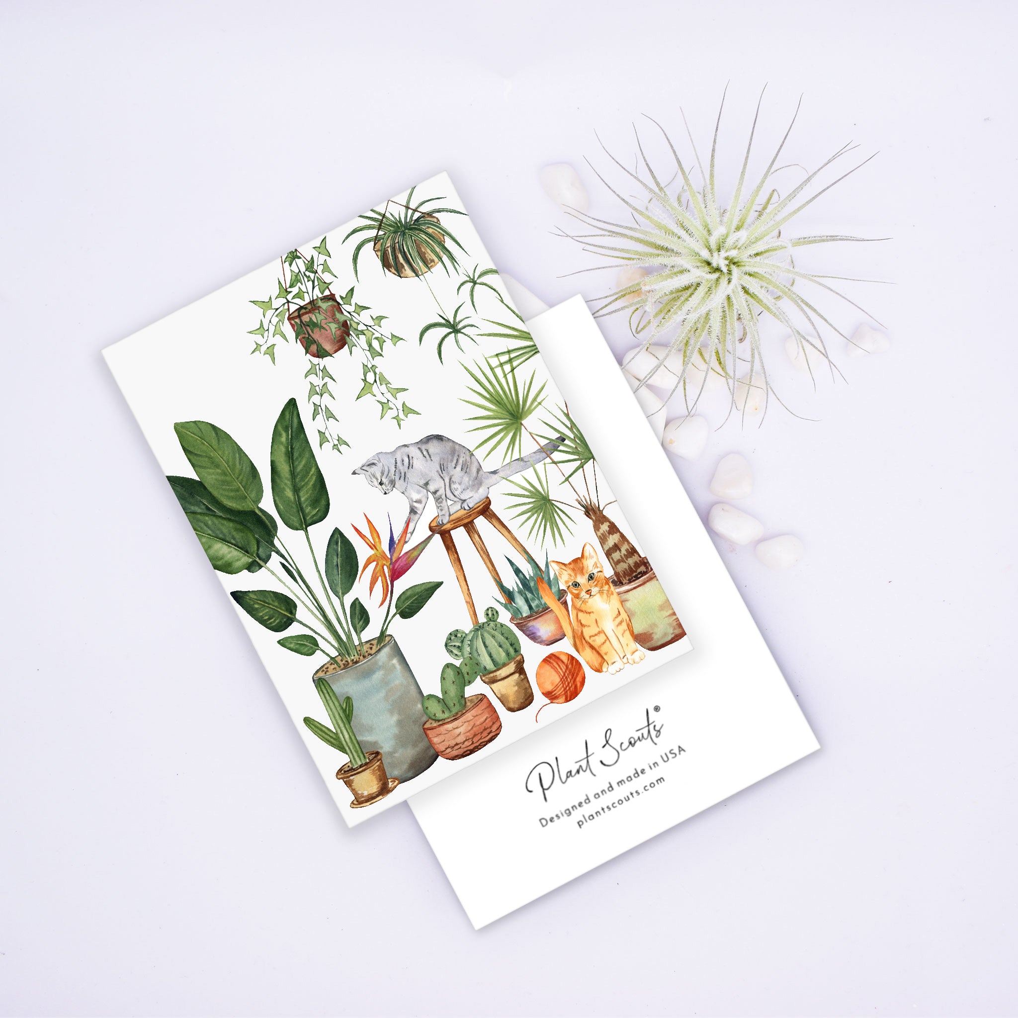 Plants and Cats Greeting Cards
