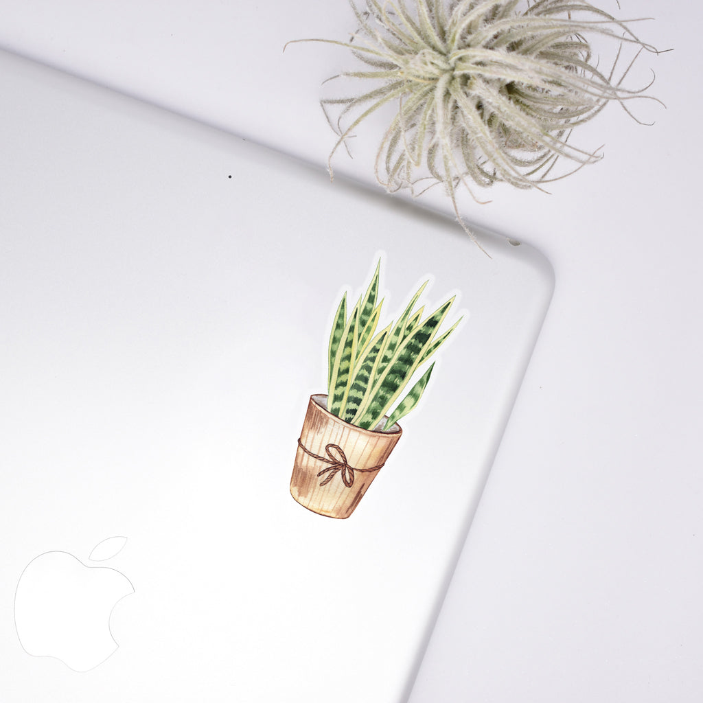 pot plant stickers Snake Plant Sticker – Plant Scouts