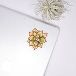 Load image into Gallery viewer, Succulent Clear Sticker
