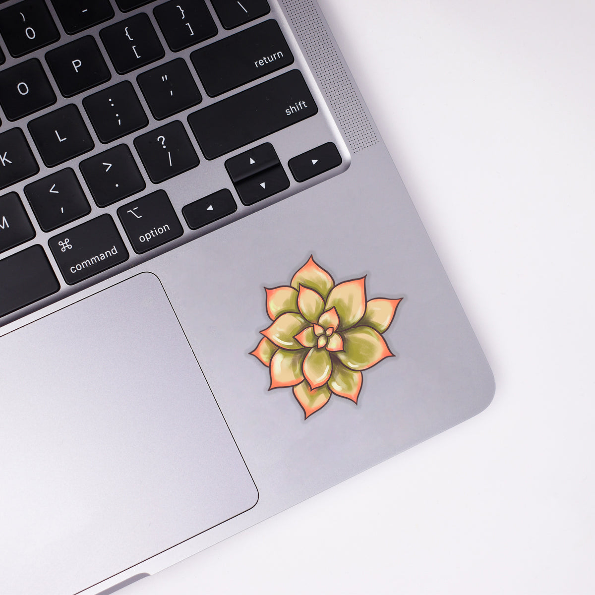 Succulent Clear Sticker