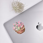 Load image into Gallery viewer, Potted Succulent Sticker
