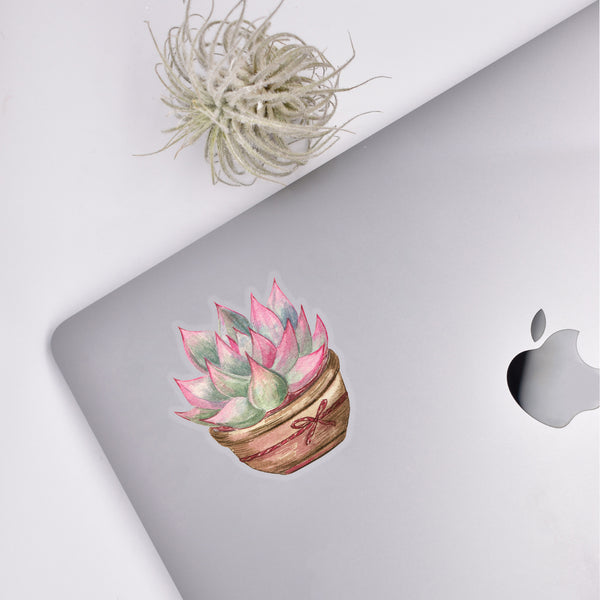 succulent decal Potted Succulent Sticker – Plant Scouts