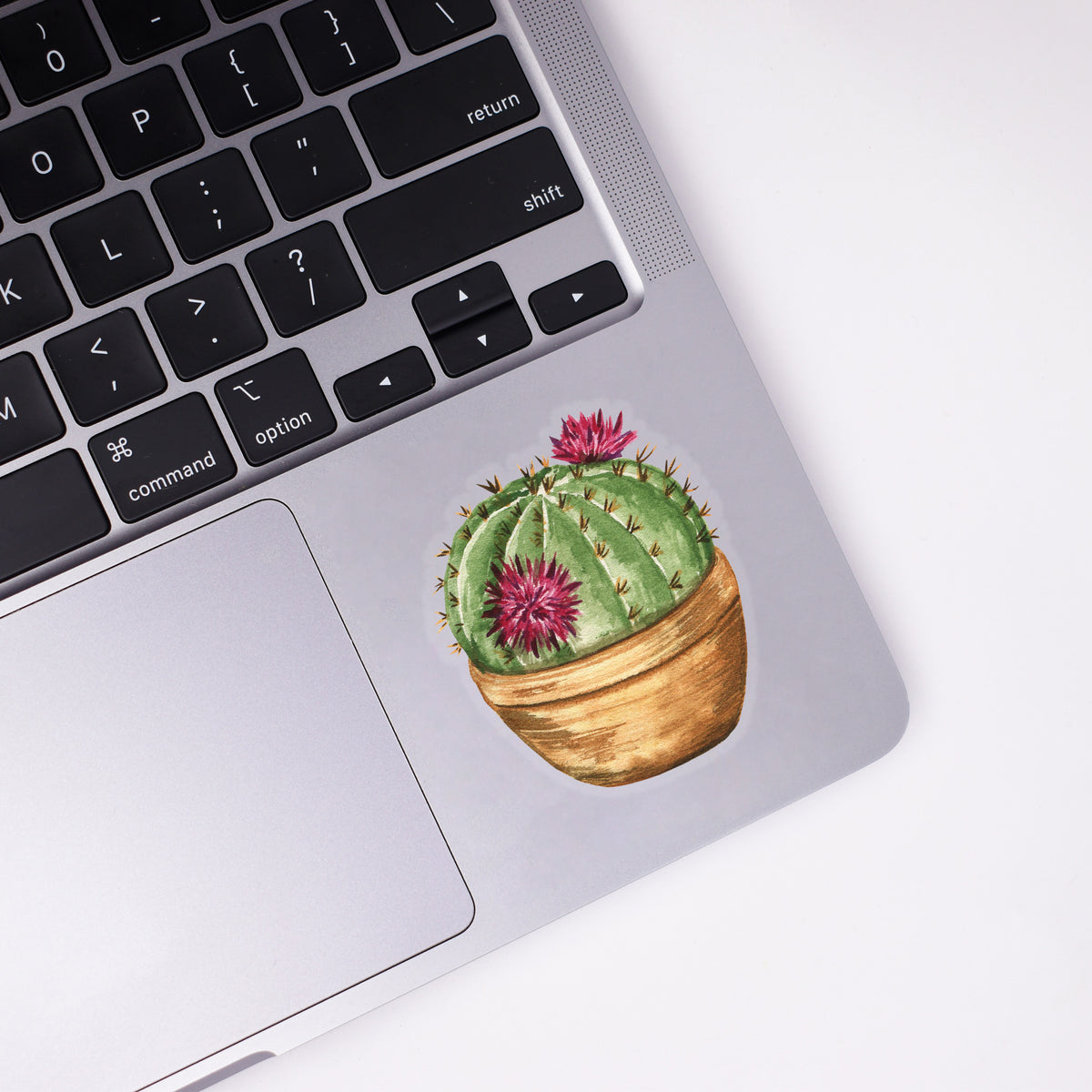 Potted Cactus Sticker