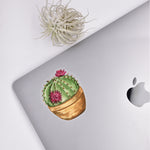 Load image into Gallery viewer, Potted Cactus Sticker
