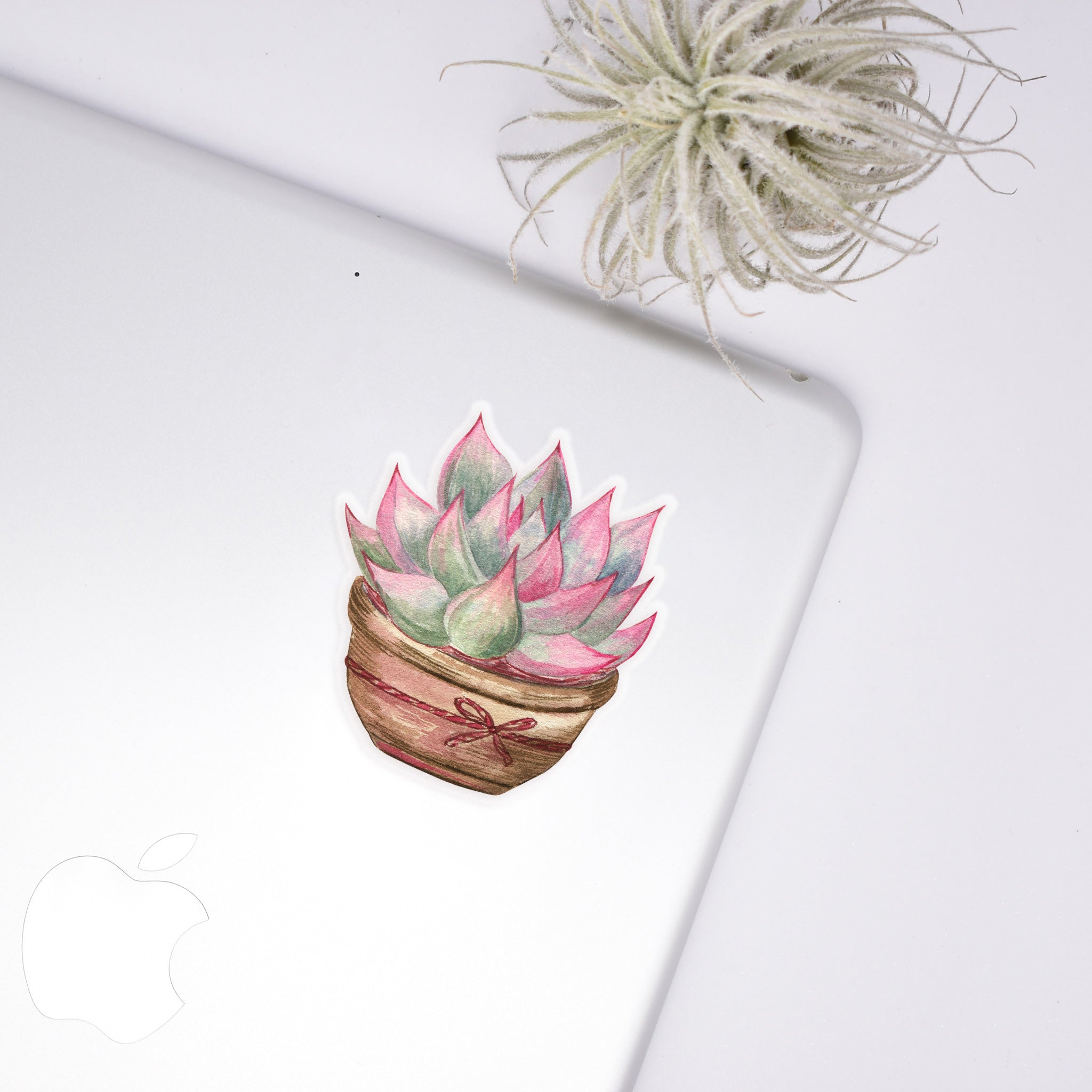 Potted Succulent Sticker