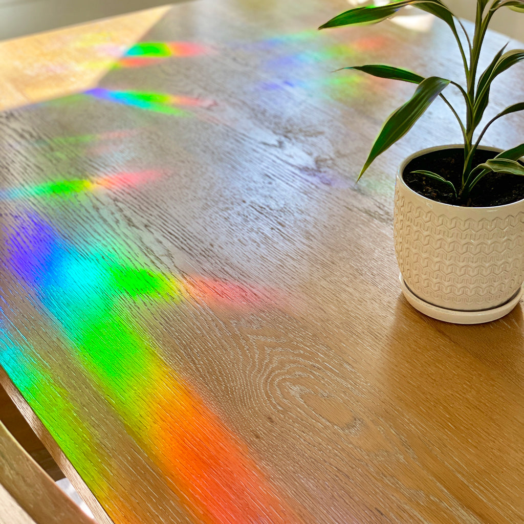 Alocasia Suncatcher Sticker - Rainbow Making Suncather Sticker