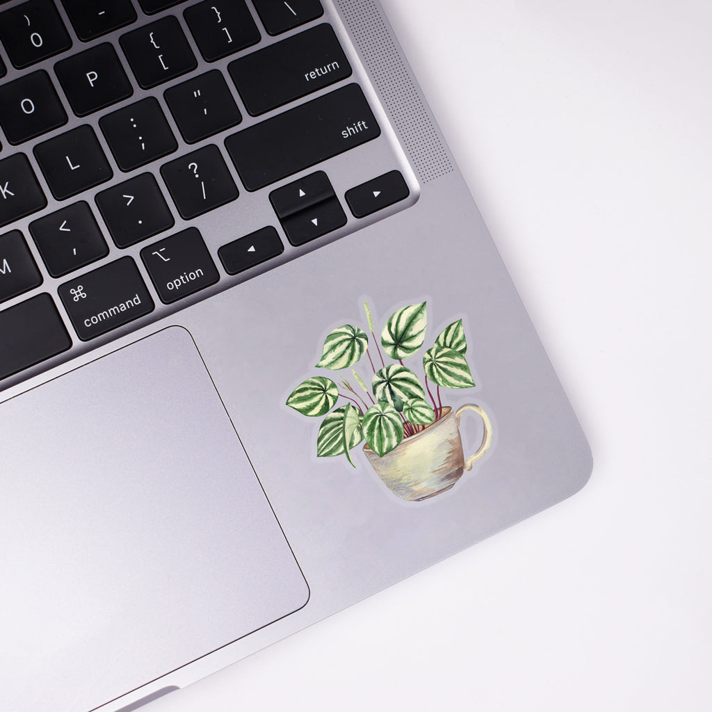 Watermelon Peperomia Sticker