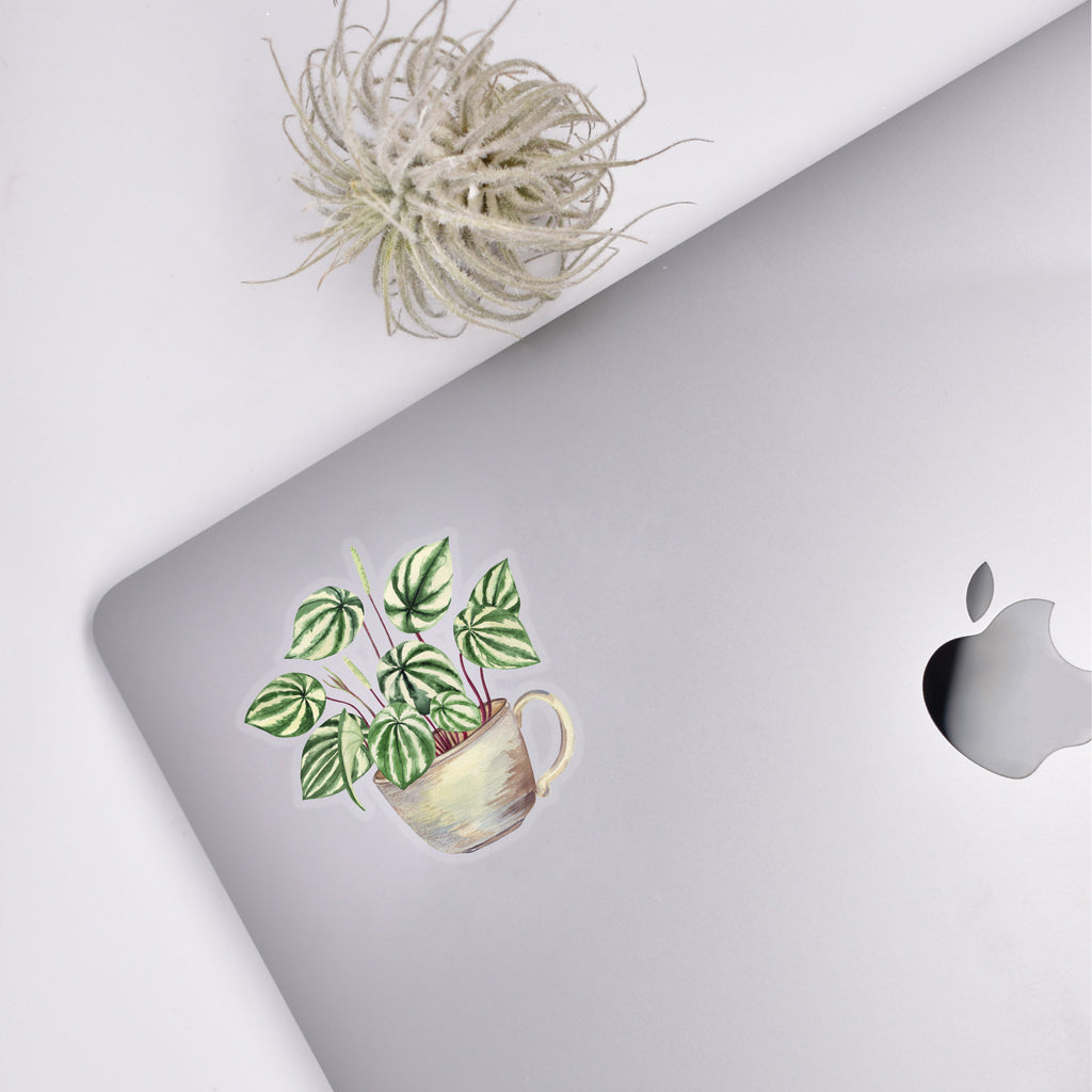 Watermelon Peperomia Sticker