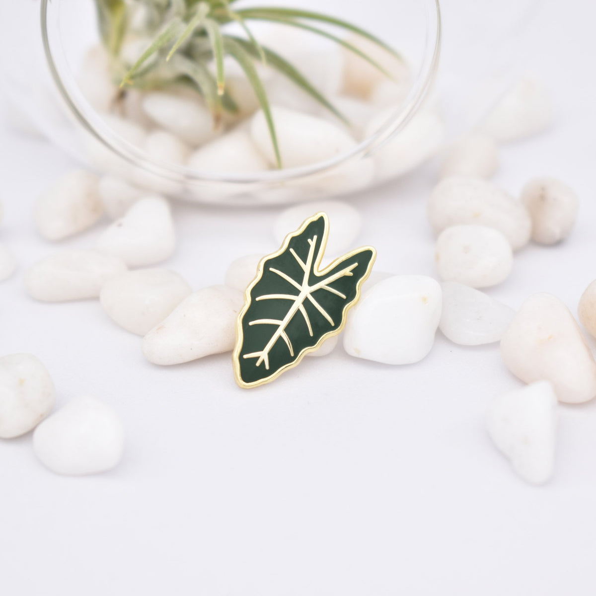 Alocasia Enamel Pin - Pins