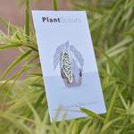 Load image into Gallery viewer, Begonia Maculata Pin - Pins
