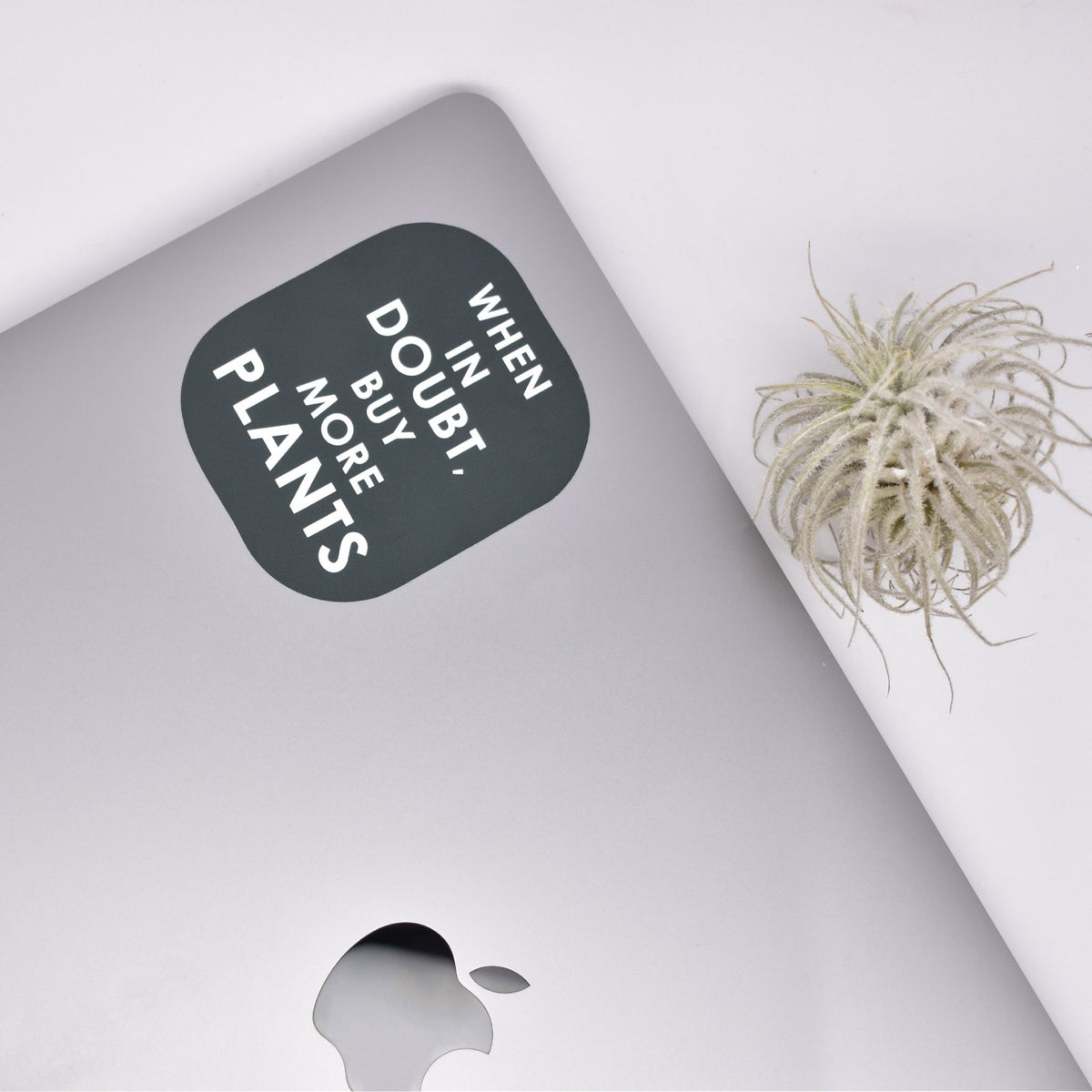 Buy More Plants Sticker - Sticker