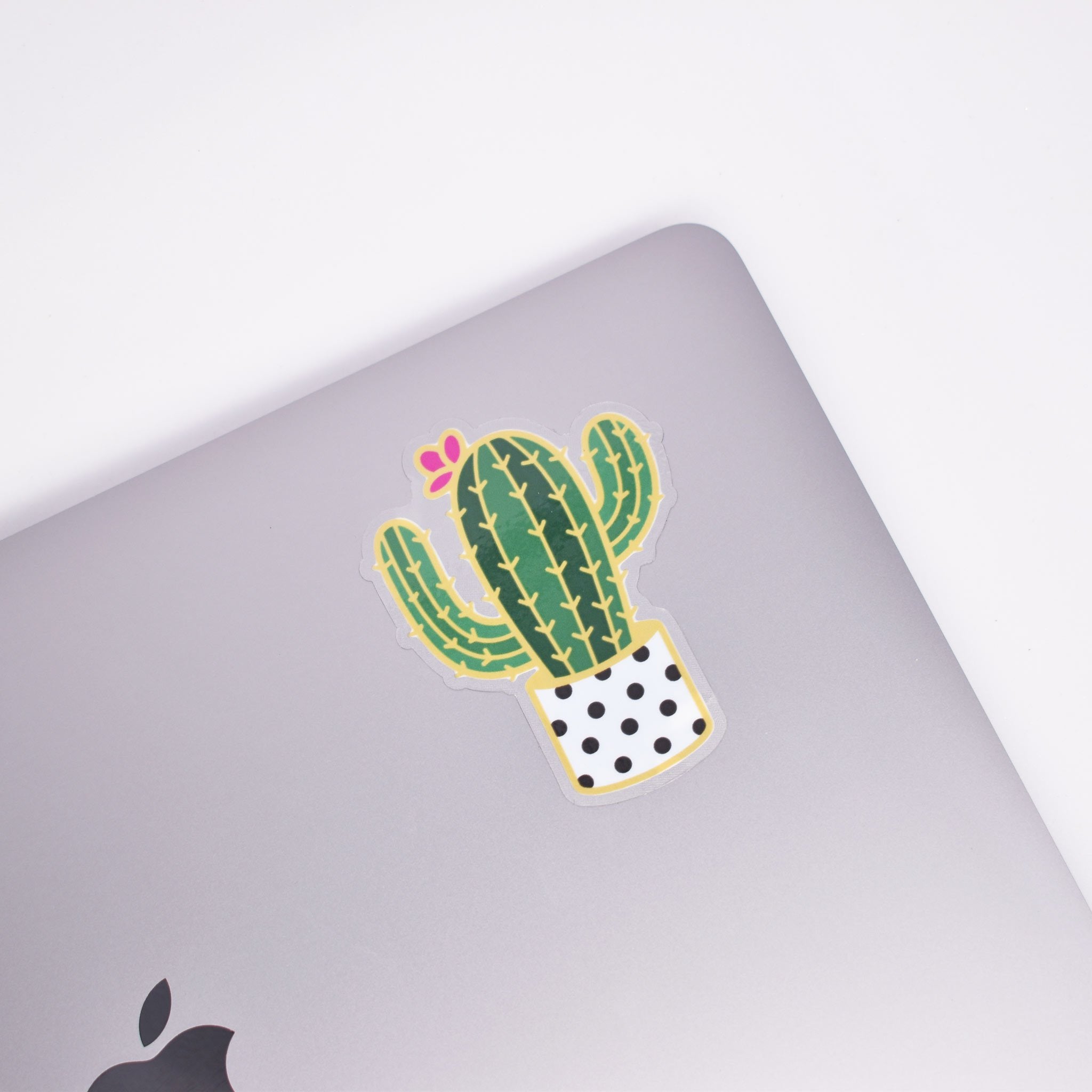 Cactus Pink Sticker - Sticker