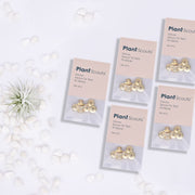 Deluxe Locking Pin Backs - Pins