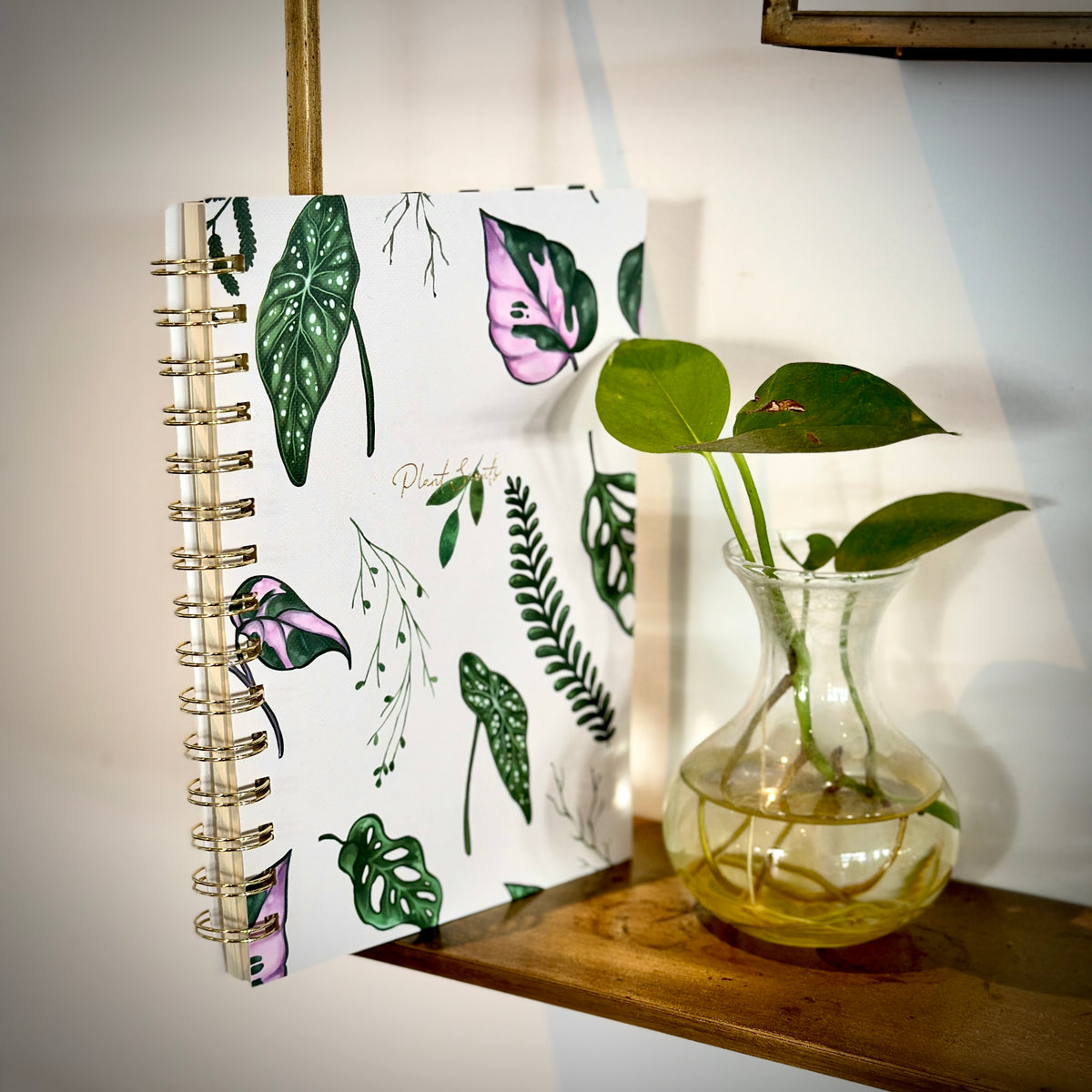 White House Plants Notebook