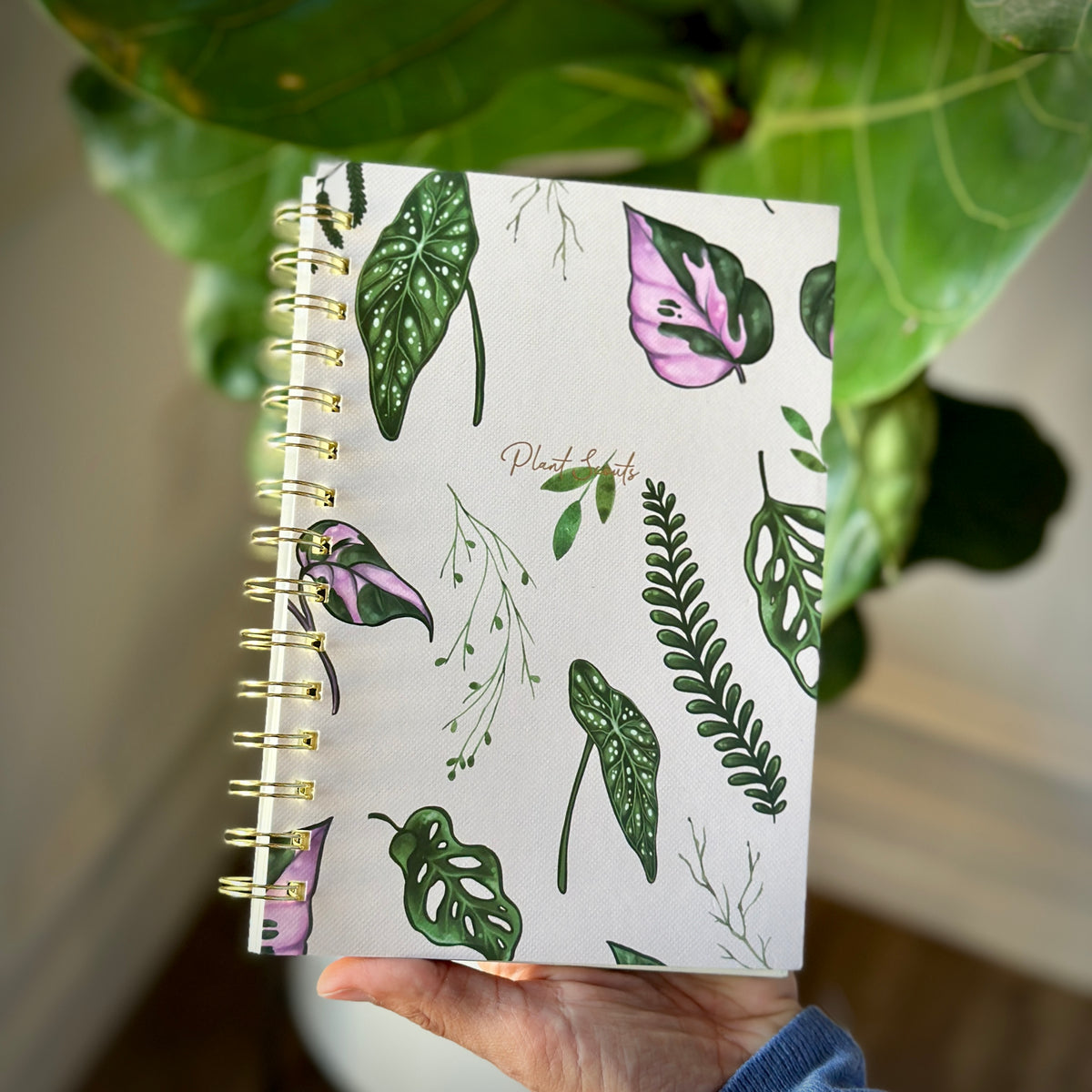 White House Plants Notebook